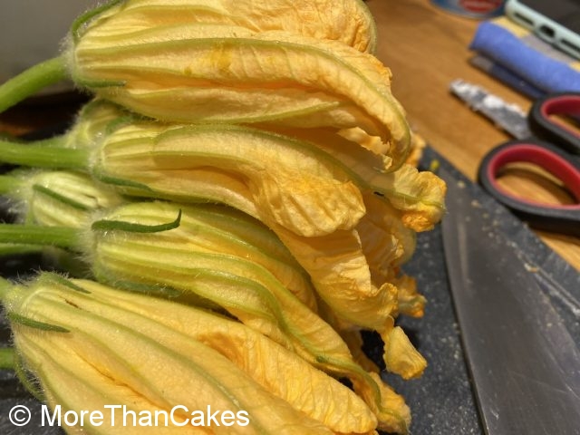 C49BF53E-6D1E-454B-ADF4-152F0712130E